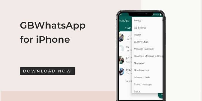 Hide Online Status GB WhatsApp
